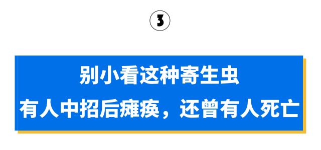 蜗牛身上有好多特别特别小的虫子,碰到那么小的蜗牛会有寄生虫吗