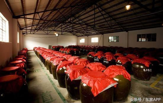 第一批杨梅即将上市,酿杨梅酒用什么品种的杨梅