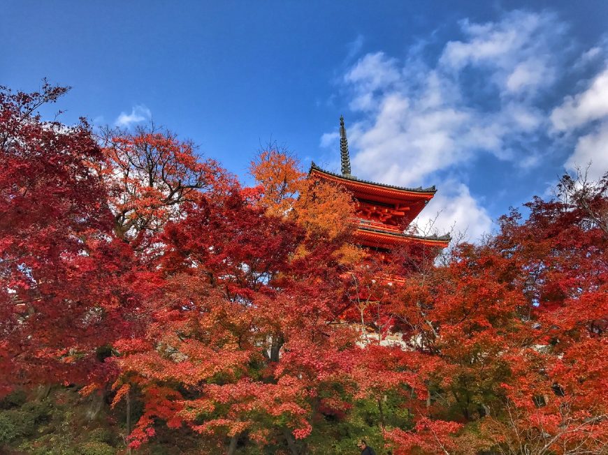 去日本旅游有哪些发现,去日本必须知道的10个细节
