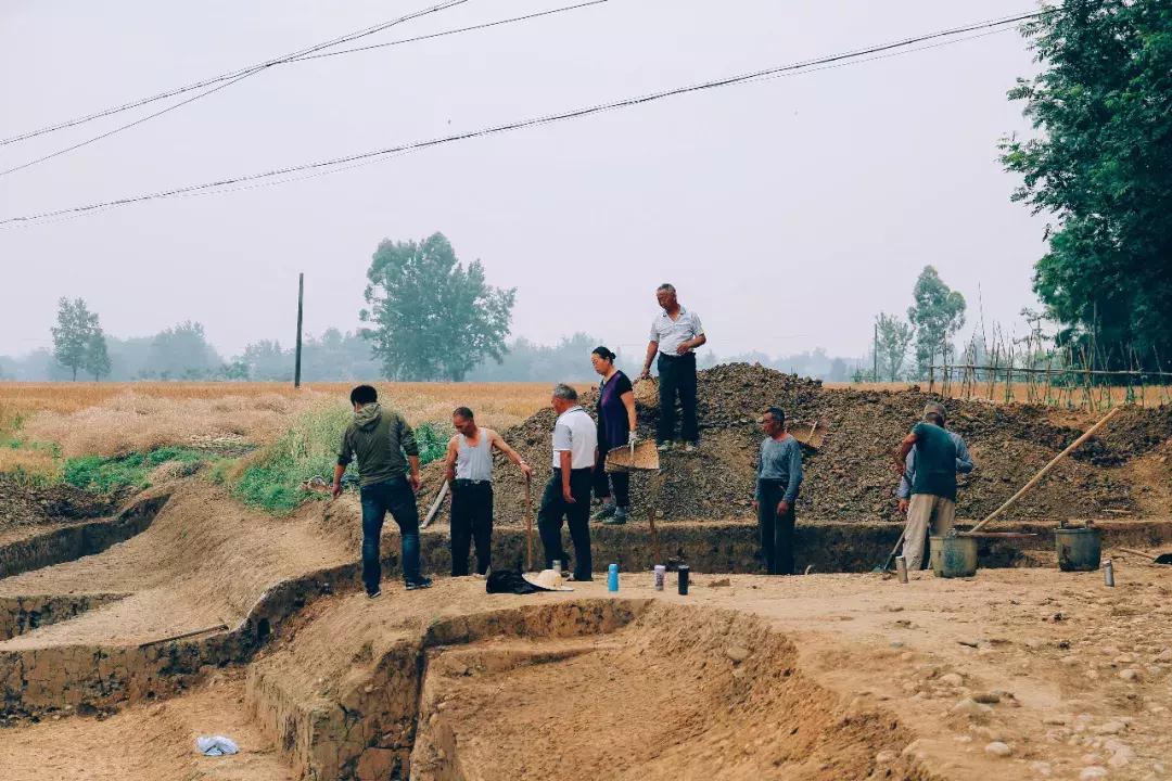 成都考古之谜视频,成都考古40年