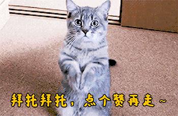 驾驶证满12分开车抓到怎么办,知识贴怎么贴