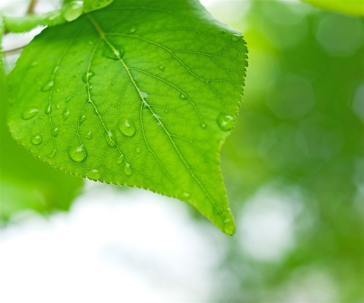 人生过得太窝囊,人生很短不要活得太窝囊