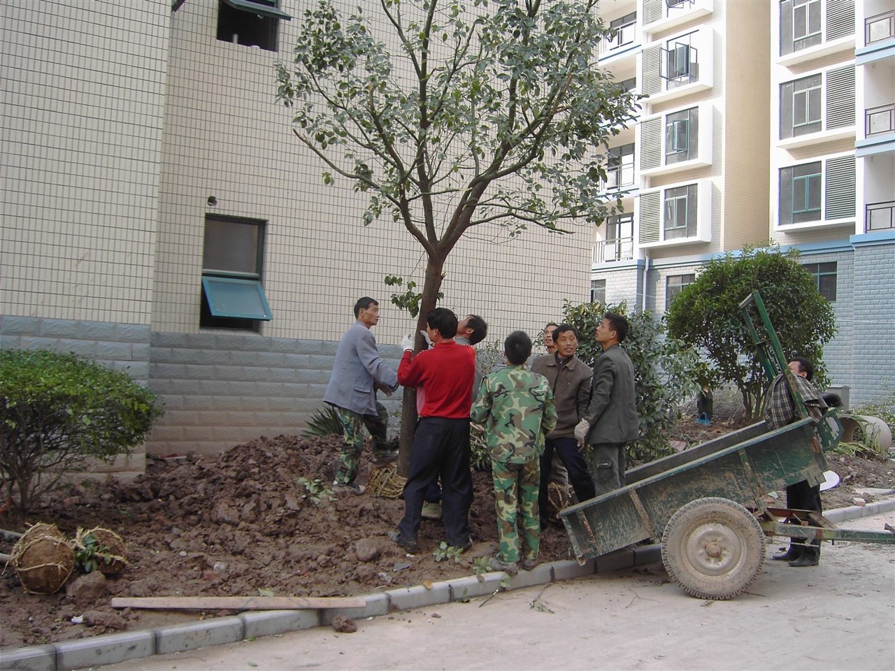 园林工程造价全套视频教程,园林工程预算及造价清单