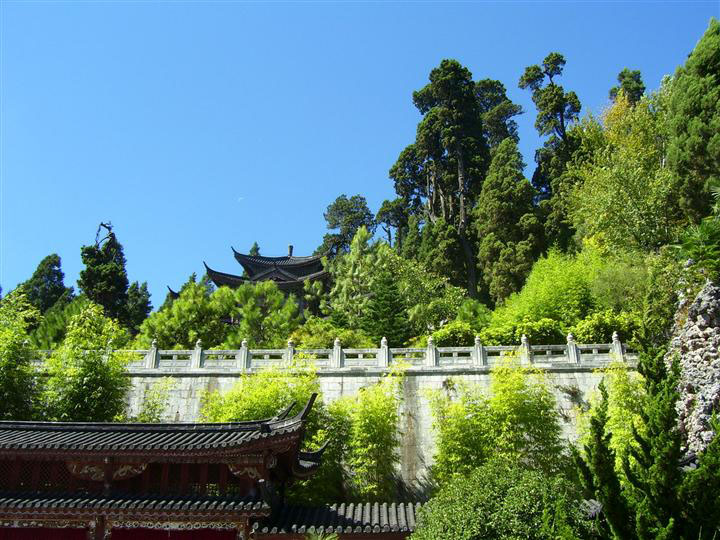 园林工程造价全套视频教程,园林工程预算及造价清单