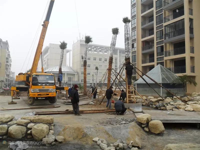 园林工程造价全套视频教程,园林工程预算及造价清单