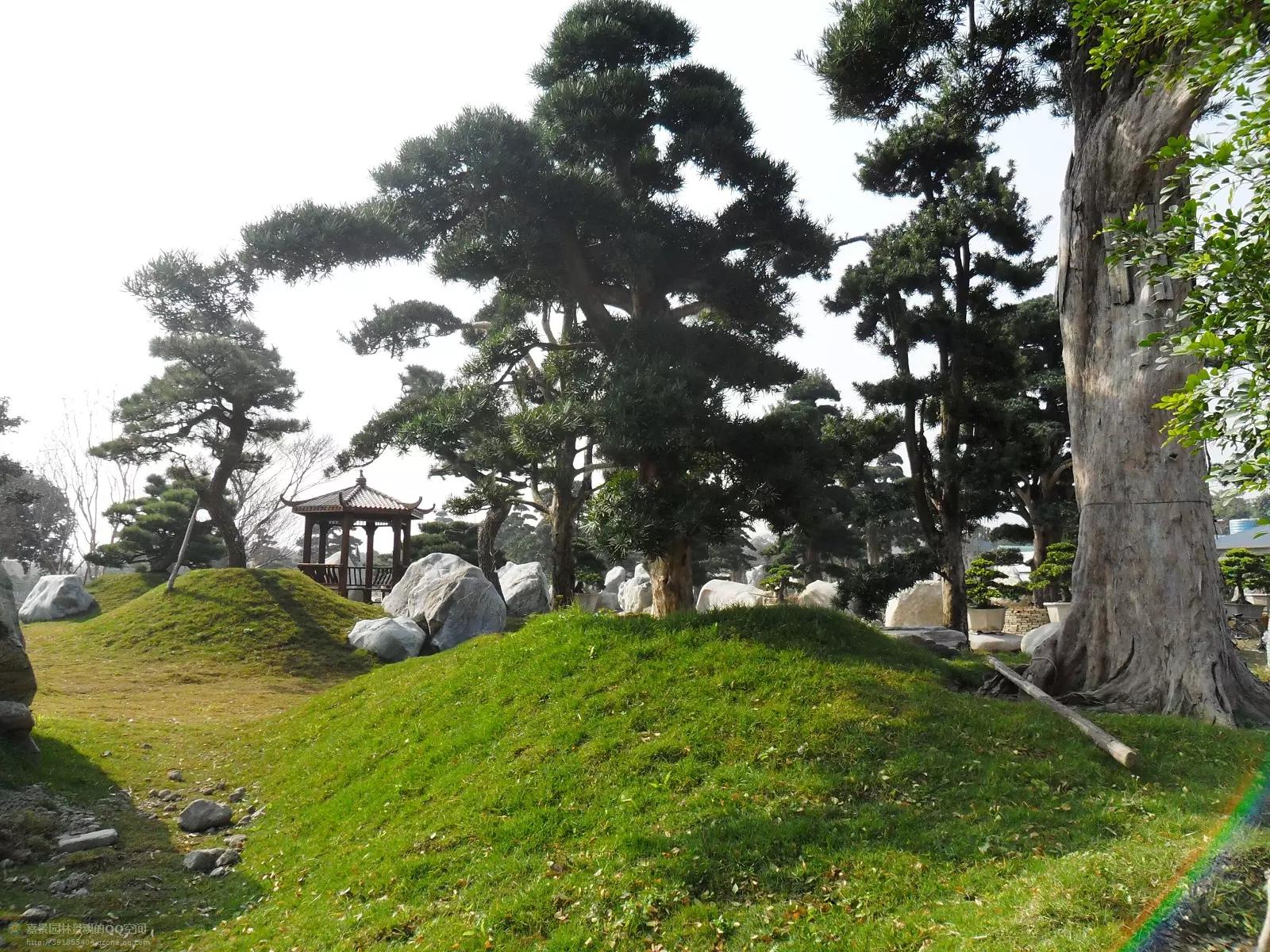 园林工程造价全套视频教程,园林工程预算及造价清单