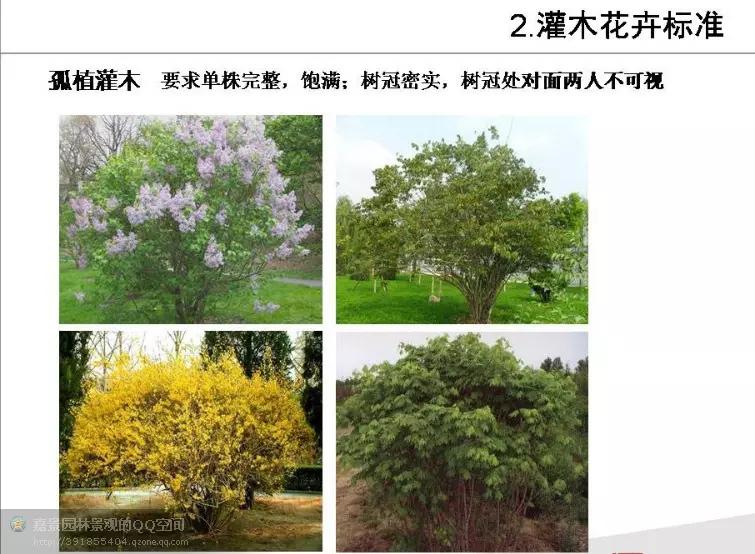 园林工程造价全套视频教程,园林工程预算及造价清单