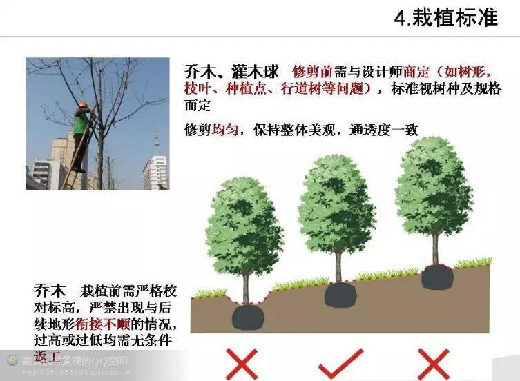 园林工程造价全套视频教程,园林工程预算及造价清单