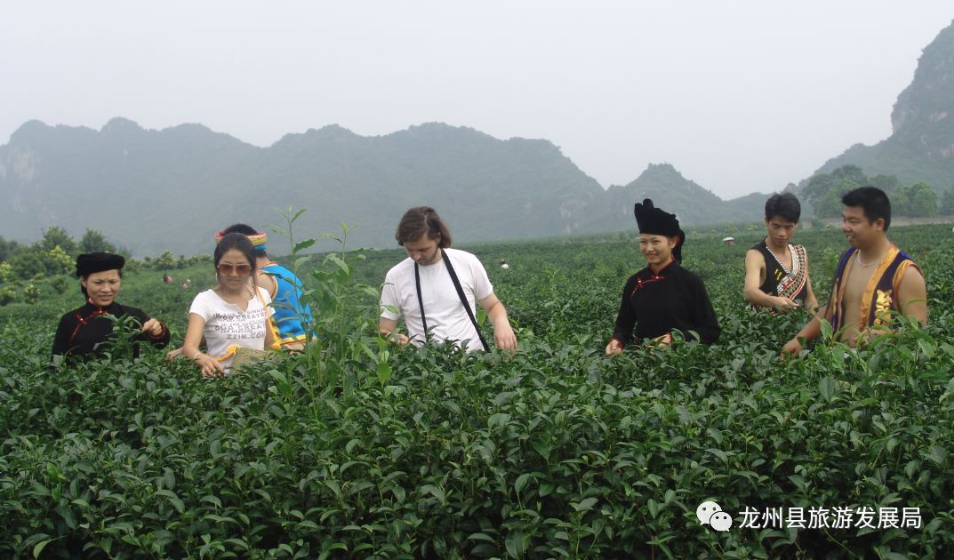 来上犹我养你高清图片,来武平我养你