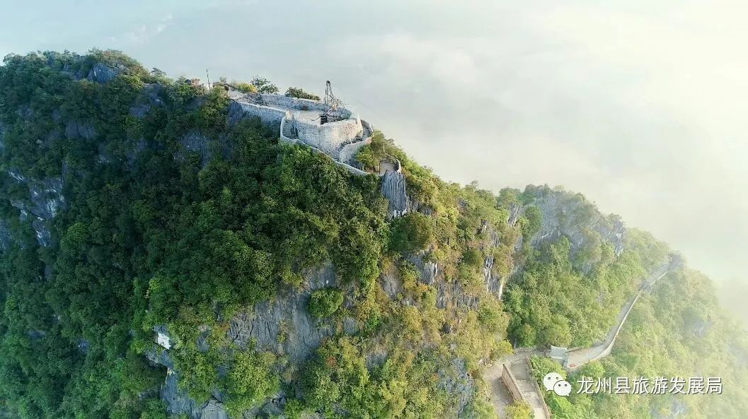 来上犹我养你高清图片,来武平我养你