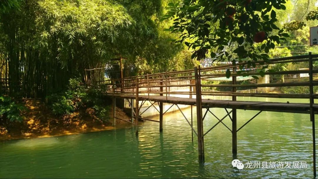 来上犹我养你高清图片,来武平我养你