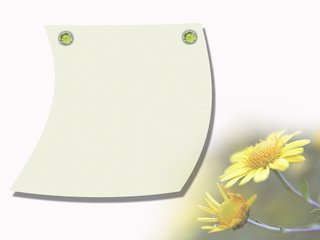 做为一个有女朋友又对你无感的男人,自然要对你敬而远之