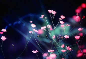 做为一个有女朋友又对你无感的男人,自然要对你敬而远之