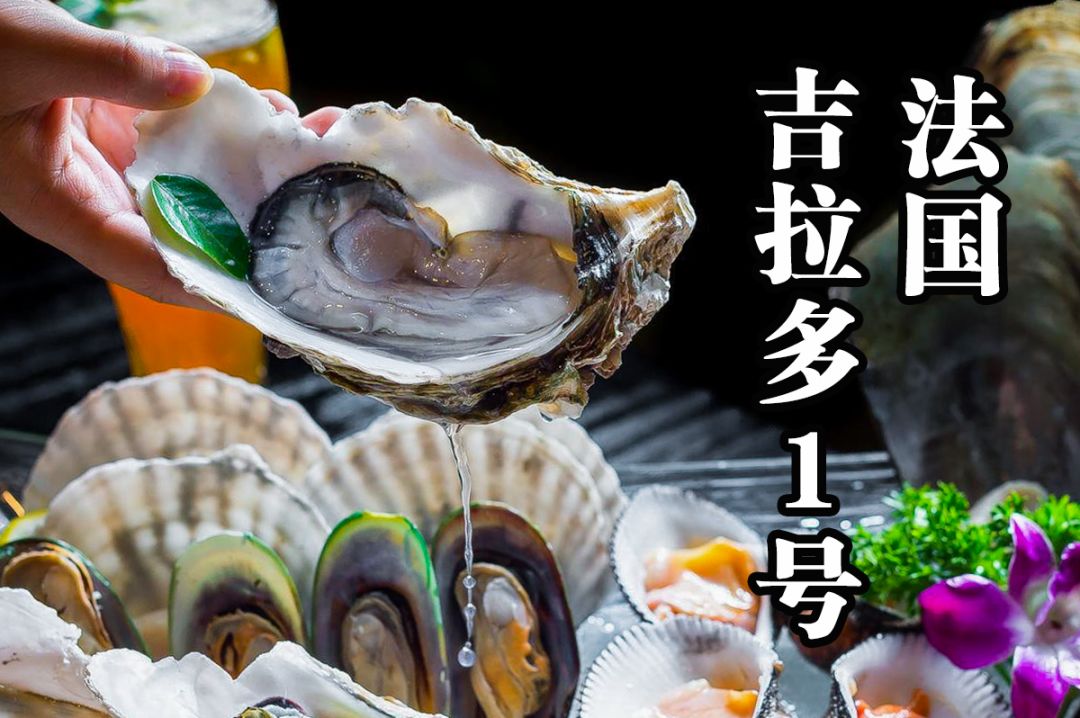 上井慌了！道田坐不住了！观音桥料理传说，凌晨2点还在叫号！