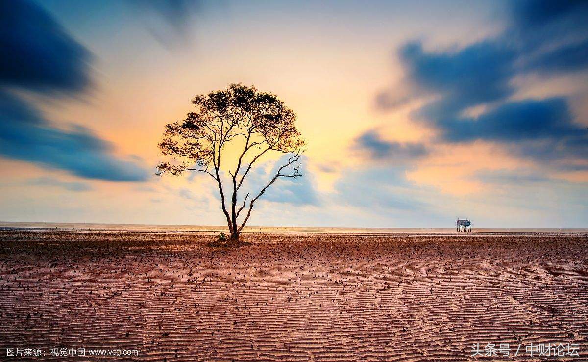 别不懂装懂什么意思,别不懂装懂乱用词