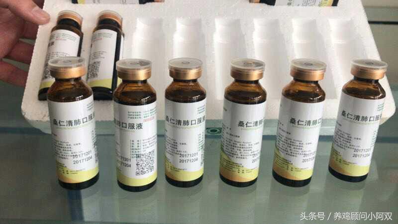 桑叶养鸡可以清热不,桑仁清肺口服液兽用