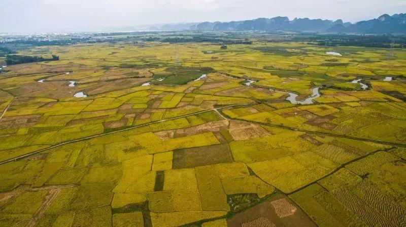 一碗1元的粥,却有着妈妈的味道