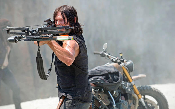 全球最好的弓弩:第2款轻松将大象头骨击碎,价值5万元