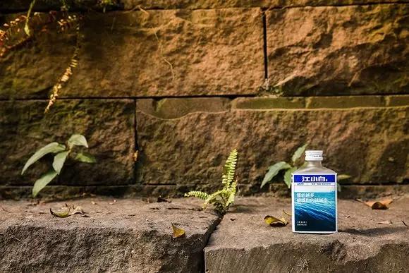 100个经典文案范文,一座城市一个故事一处风景文案