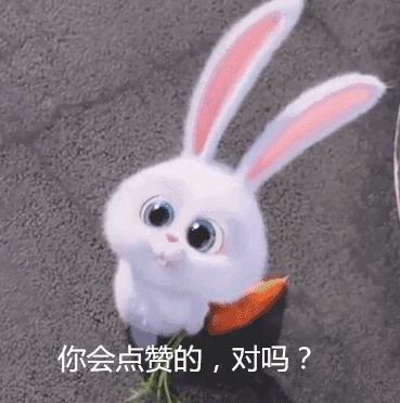 海鲜清洗大全图解,海鲜螃蟹怎么处理清洗最干净