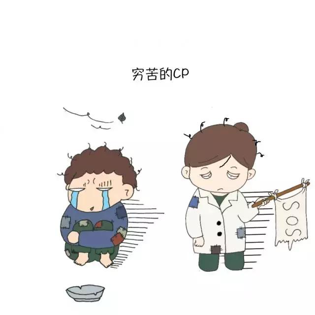 医生的cp是谁,医生能和什么组cp