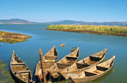 玉溪市十大旅游景点,云南玉溪旅游景点