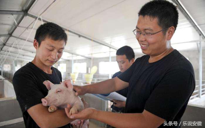 大学毕业创业开店做什么好,大学毕业如何自己就业创业