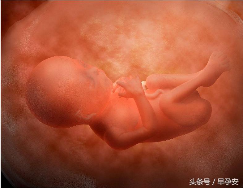 为什么有些胎宝宝偏小？胎儿宫内发育迟缓的原因与诊断