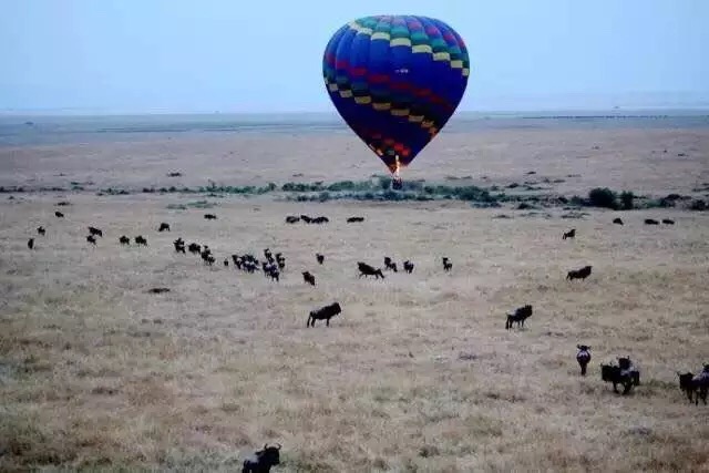 闯荡非洲，卖房创业，从100万起步到7年销售额过亿