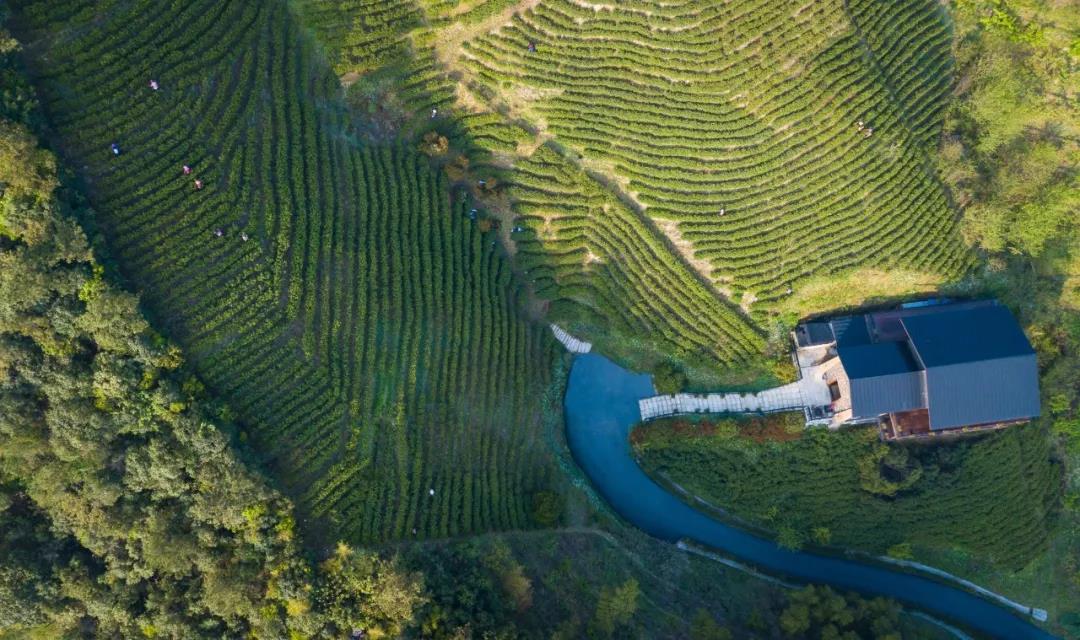 宋卫平打造的豪宅项目,宋卫平玻璃房