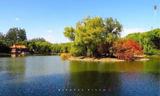 家在公园里宁静祥和空气清新,家在公园旁是一种怎样的体验