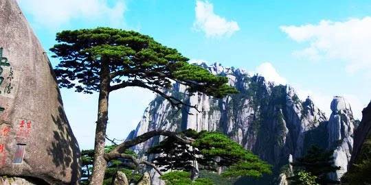 安徽景区九华山几月份免门票,宣城什么时间免费游九华山