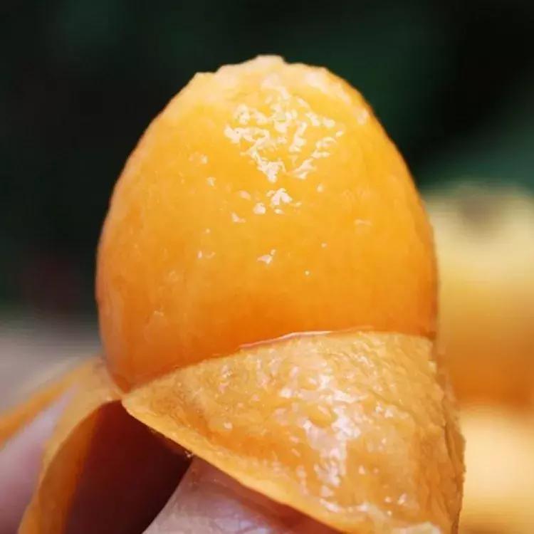 枇杷采摘季,一起去尝尝初夏的味道