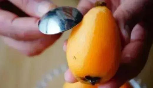 枇杷采摘季,一起去尝尝初夏的味道