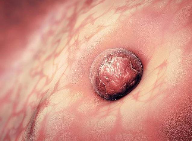 多久没怀孕算不正常,半年备孕没怀上正常吗