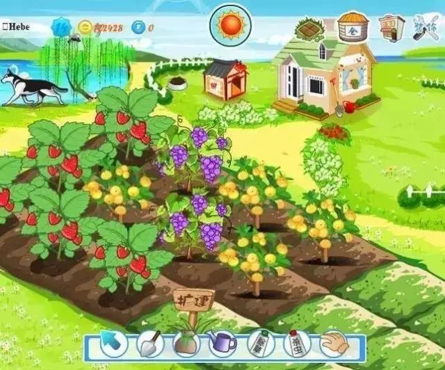 昨晚qq闪照已销毁了怎么恢复,qq异常被限制怎么解除