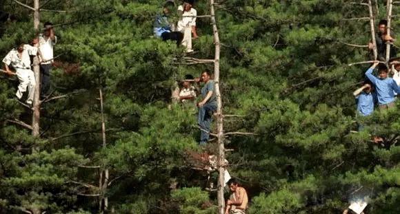 延边足球的现状,延边解散后有哪些球队