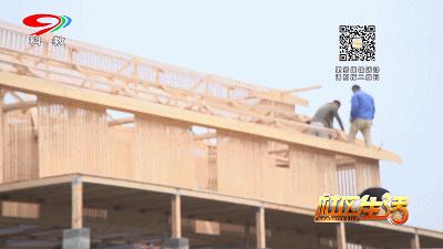 养鸽子对风水有好处吗,回民养鸽子的好处