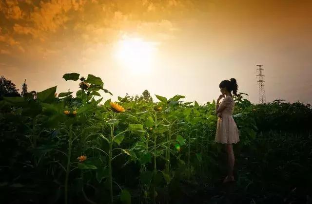 那么多关于温江的回忆，这让我怎么注销QQ