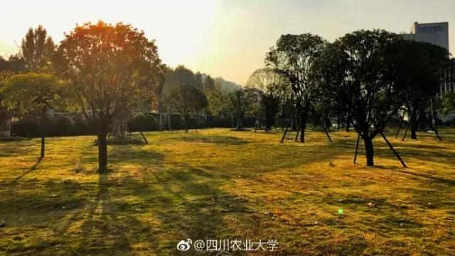 那么多关于温江的回忆，这让我怎么注销QQ