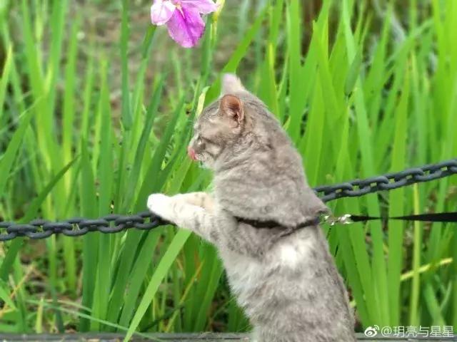 那么多关于温江的回忆，这让我怎么注销QQ