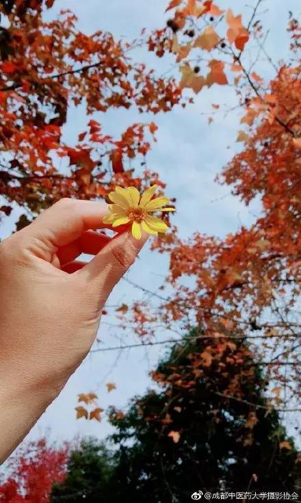 那么多关于温江的回忆，这让我怎么注销QQ