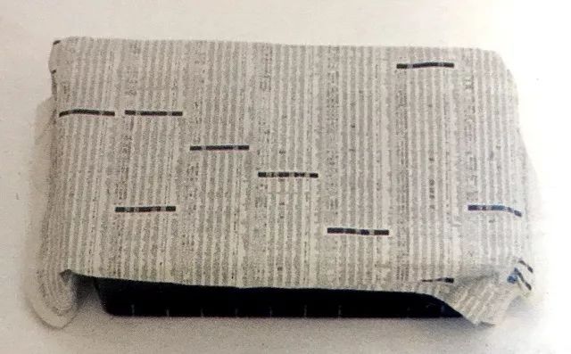 种子发芽操作的注意事项,育苗小技巧