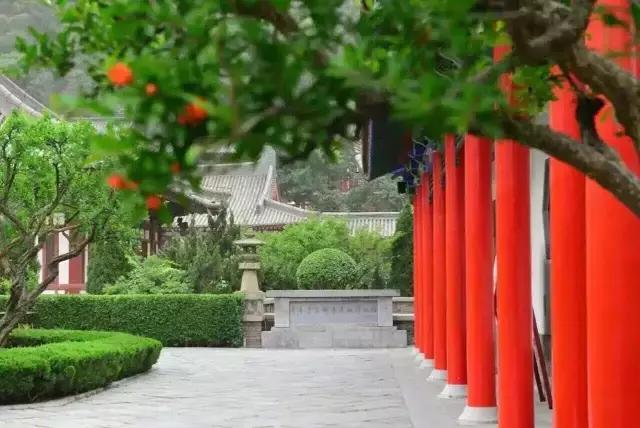 五月石榴花开正当时,五月景色石榴花开图片