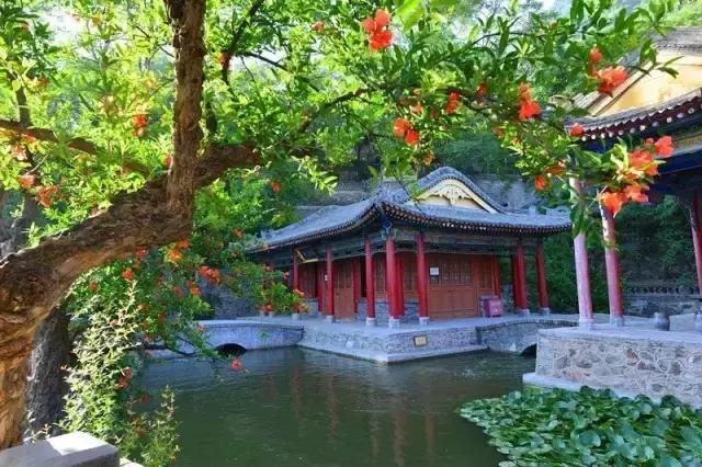 五月石榴花开正当时,五月景色石榴花开图片