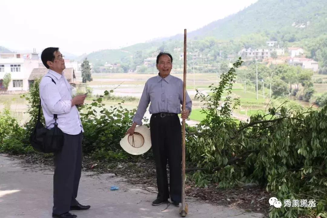 浠水小调采莲船,浠水戏曲采莲船