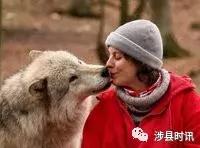 遇到恶犬打哪里,路遇恶犬怎么治