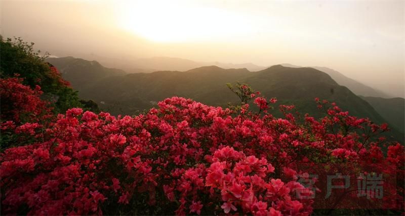 薰风初昼长榴红麦渐黄