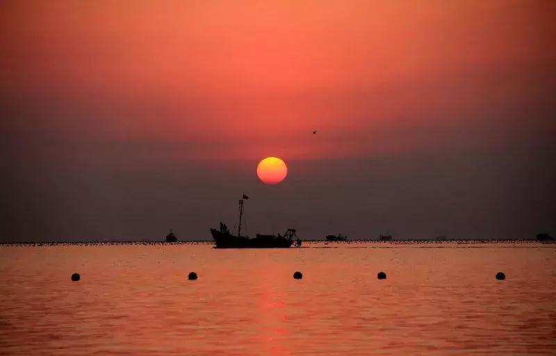 依米小姐姐:在海里用餐,是一种怎样的体验?!