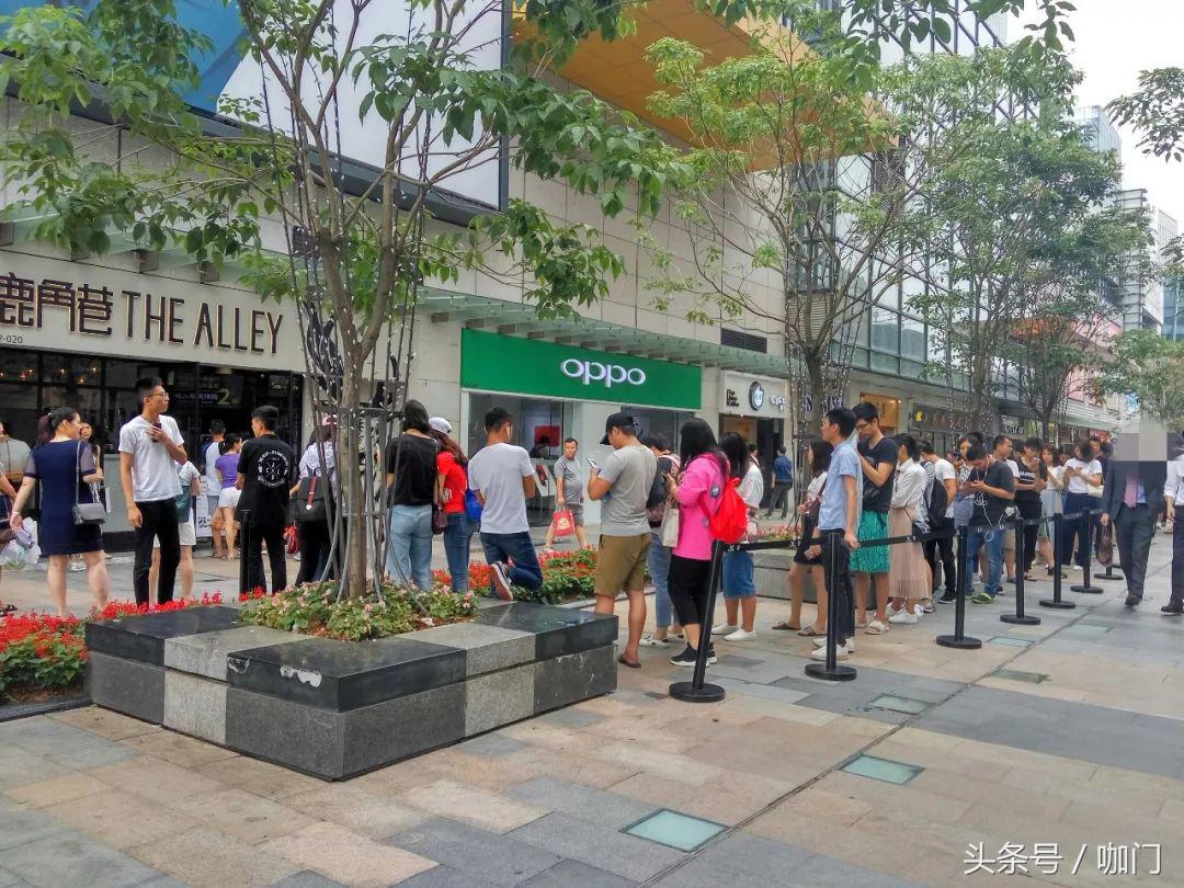 鹿角巷黑糖哪个品牌,鹿角巷黑糖风味粉怎么用